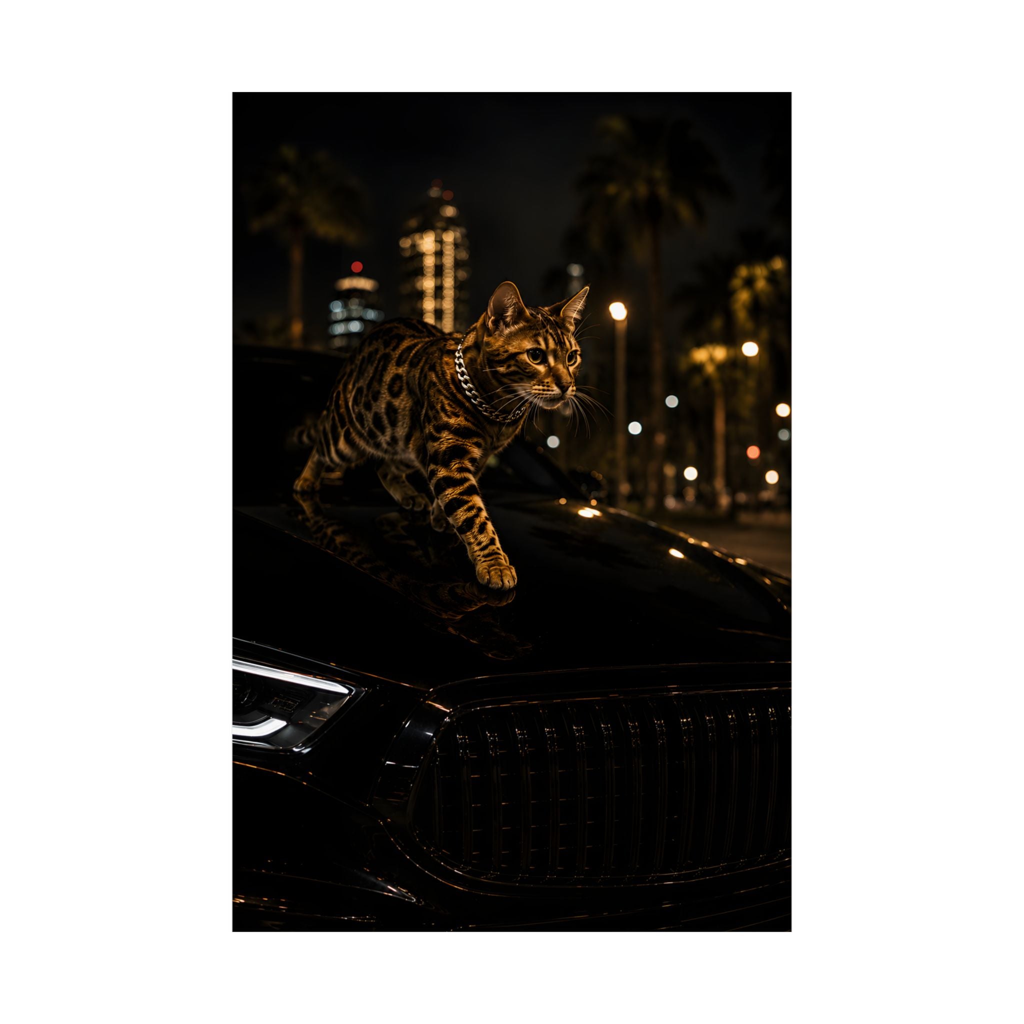 Bengal Cat