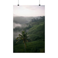 Bali, Asia
