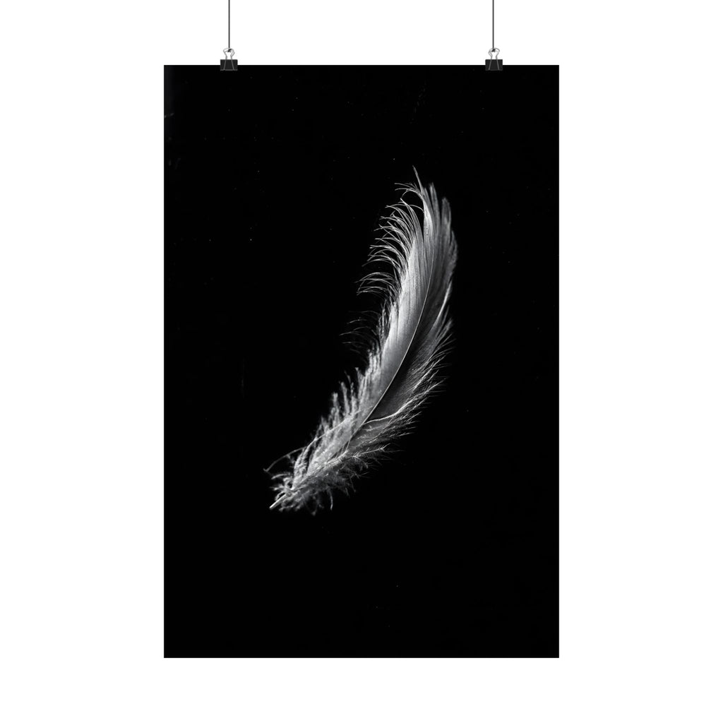 Noir Minimalist Feather