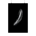Noir Minimalist Feather