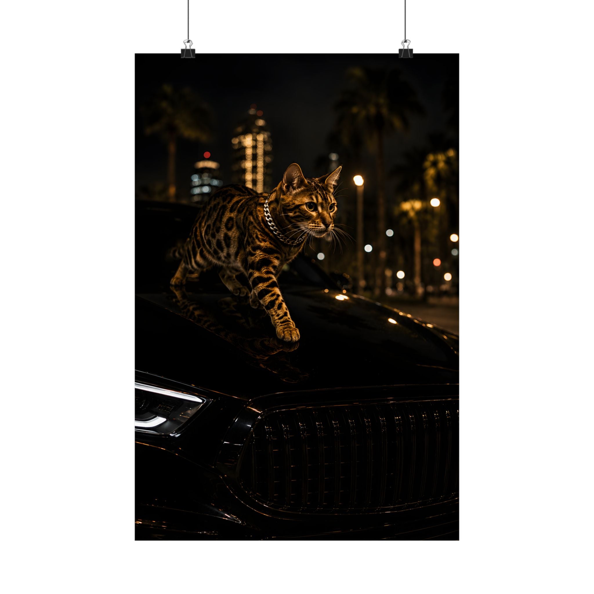 Bengal Cat