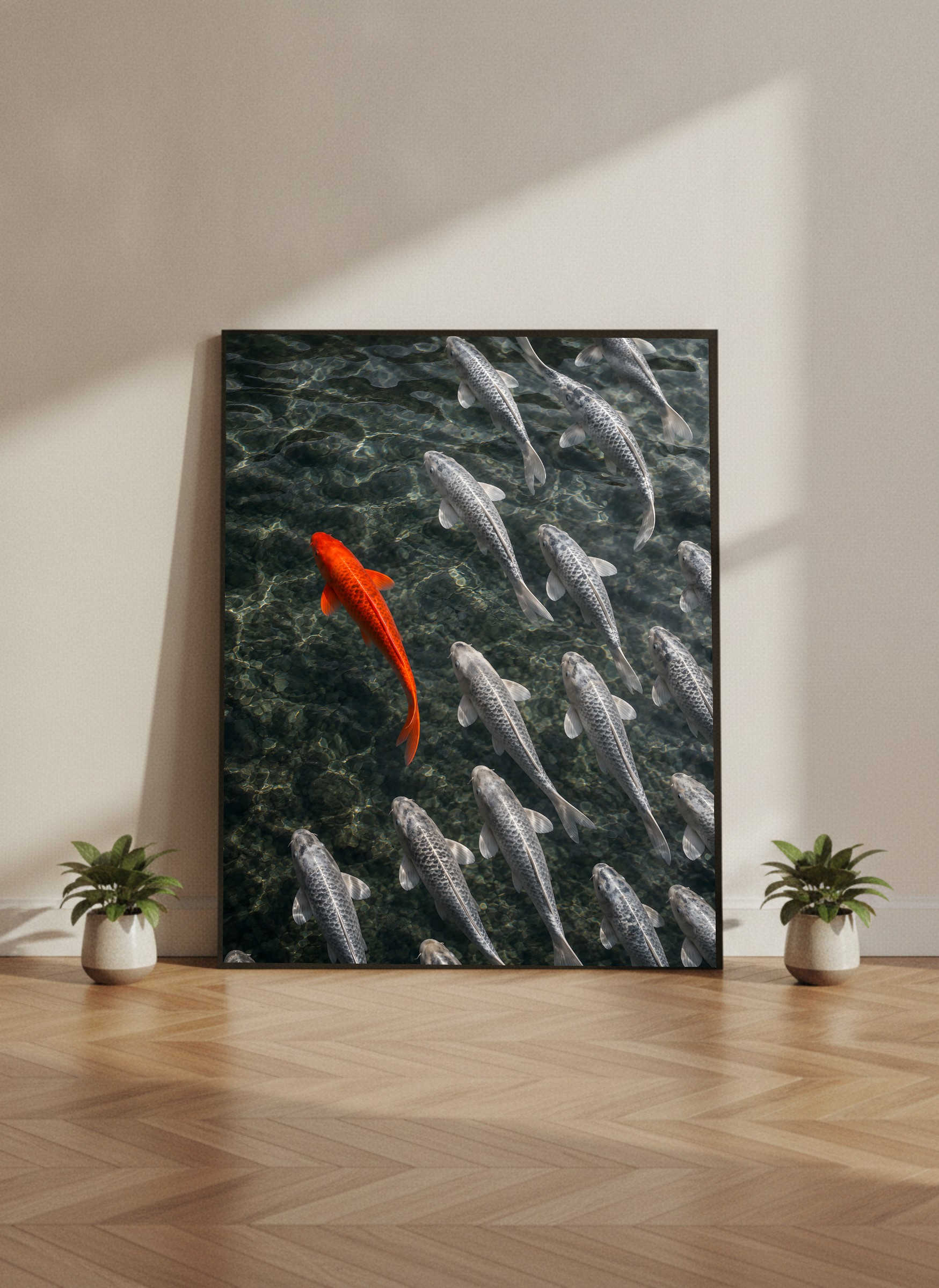 The Contrasting Koi