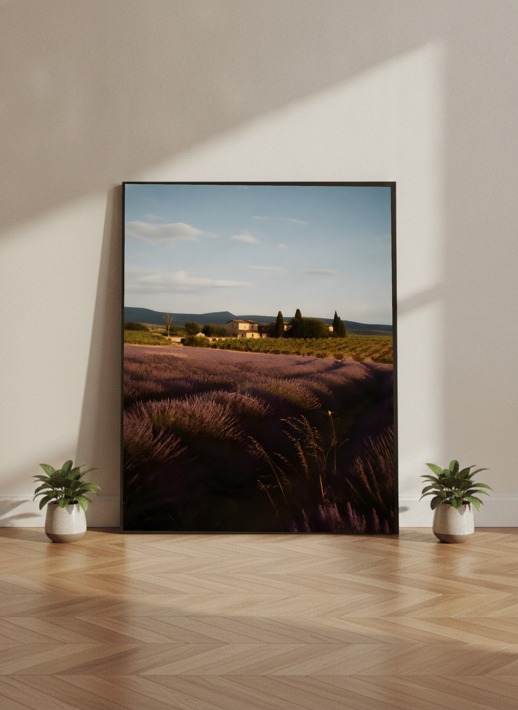 Lavender Field