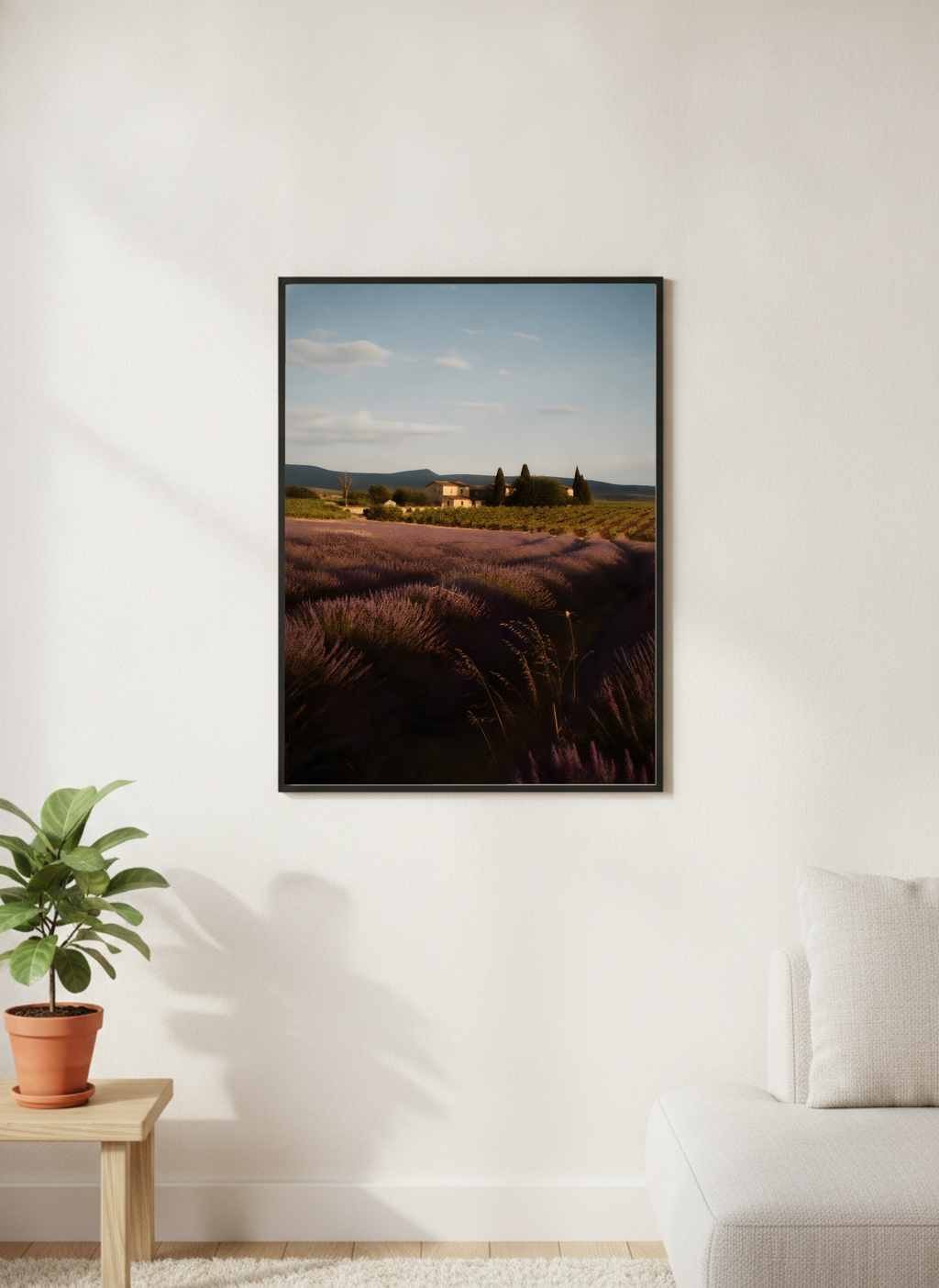 Lavender Field